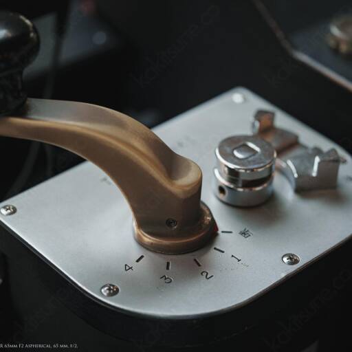 Voigtlander MACRO APO-LANTHAR 65mm F2 Aspherical