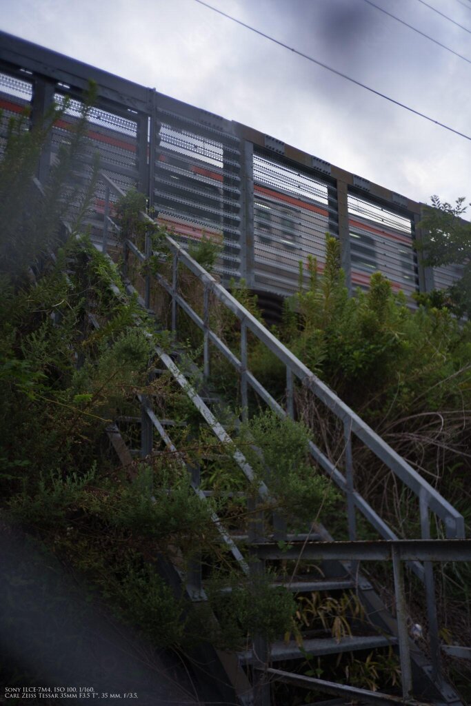 Yashica T Tessar 35mm F3.5 T* Carl Zeiss